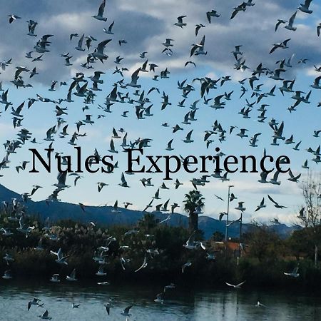 Mascarell Apartamento Nules Experience מראה חיצוני תמונה